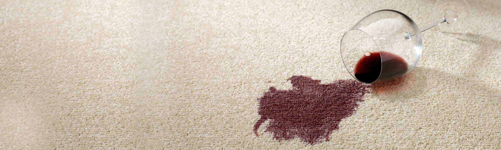 Professional Stain Removal Service by Chem-Dry
